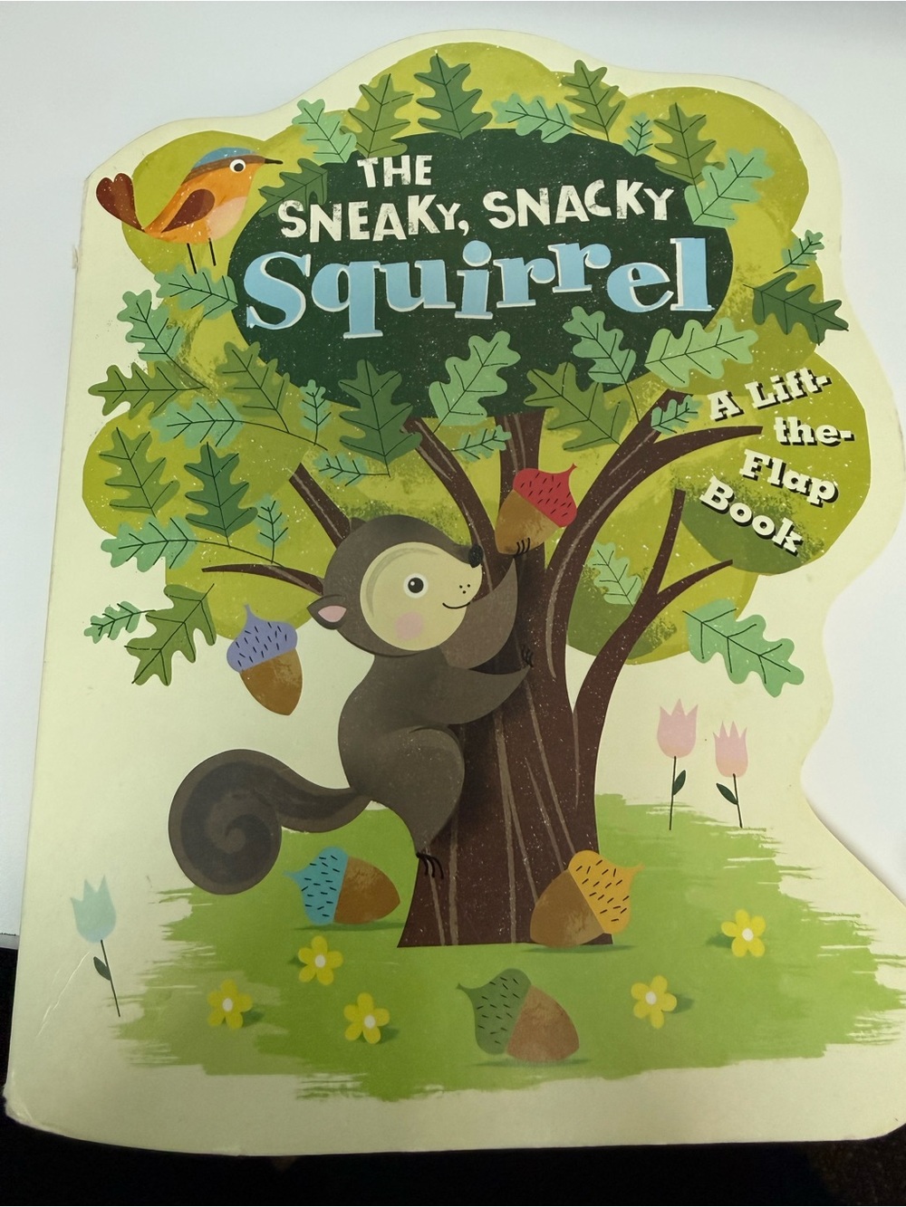 The Sneaky, Snacky Squirrel Hardcover Book by Educational Insights PreK-K